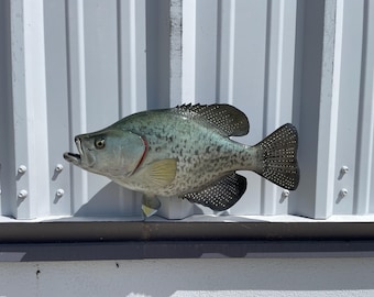 Crappie Fish Mount - 17 Inches - Full Mount Replica