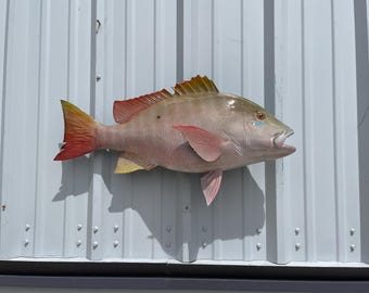 Mutton Snapper Fish Mount - 30 Inches - Full Mount Replica