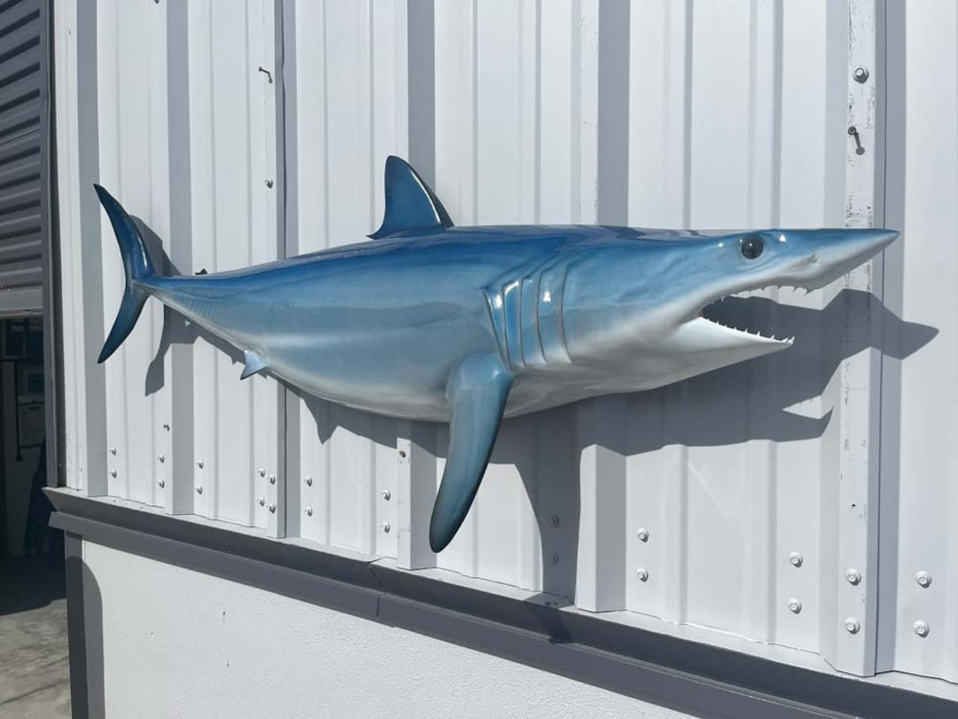 Realistic Mako Shark - 57 Inches - Half Sided Replica - Etsy