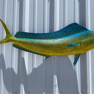 May include: A yellow and blue mahi-mahi fish mount with a speckled pattern. The fish is mounted on a white wall.