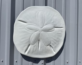 May include: A white sand dollar with a five-pointed star design. The sand dollar is a popular beach decor item.
