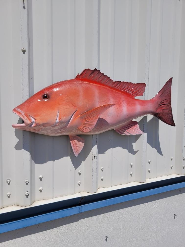 Red Snapper Fish Mount - 30 Inches - Half Mount - Etsy
