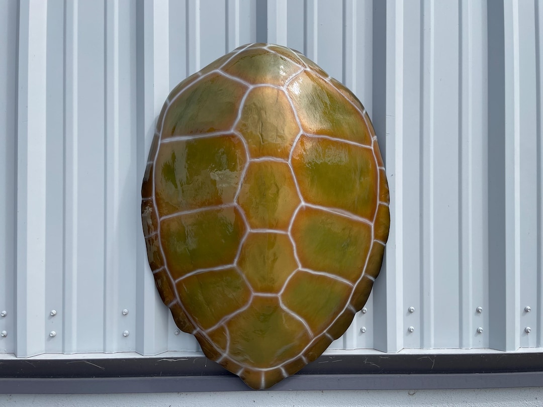 Green Turtle Shell Replica - 32 Inches - Half Mount - Etsy