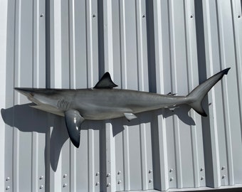 Realistic Blacktip Shark - 49 Inches - Half Sided Replica