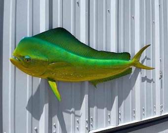 May include: A green and yellow mahi-mahi fish mounted on a white wall. The fish has a green back and a yellow belly. The fish is mounted with its mouth open and its fins spread out.