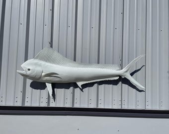 Cow Dolphin (Dorado, Mahi Mahi) Fish Mount - Gloss White - 59 Inches -  Full Mount Replica