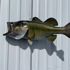Large mouth Bass　壁掛け剥製 $_57.PNG?set_id=880000500F