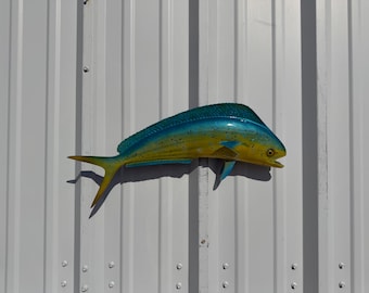 Delfín Toro (Dorado, Mahi Mahi) Montaje de Pez - 22 Pulgadas - Montaje Completo