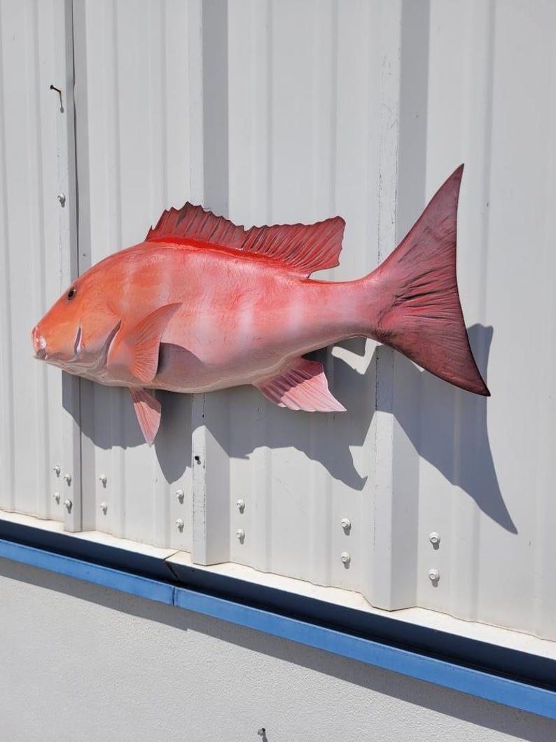 Red Snapper Fish Mount - 30 Inches - Half Mount - Etsy