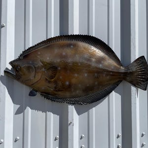 May include: A bronze-colored, flat fish sculpture with a dark, textured dorsal fin and tail fin. The fish has a detailed mouth and is mounted on a white, corrugated metal surface. The sculpture is a decorative item.