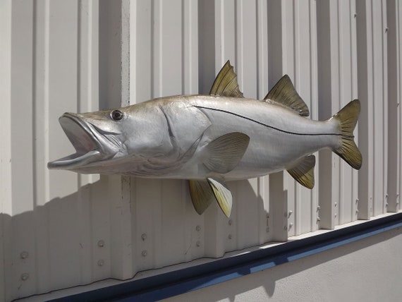 In Stock Snook Fish Mount 44 Inches Full Mount 