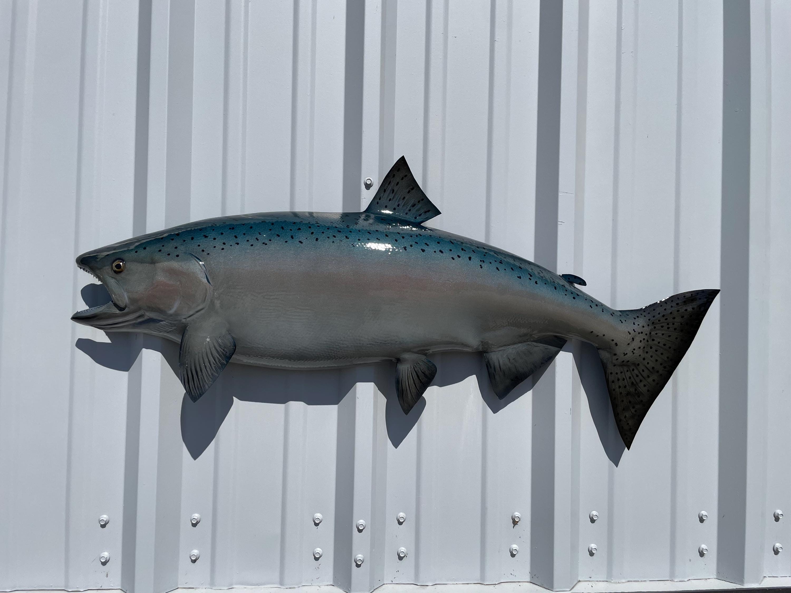 King Salmon Fish Mount - 38 Inches - Half Mount - Etsy