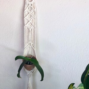 May include: A white macrame plant hanger with a small green plant in a brown pot hanging on a white wall.