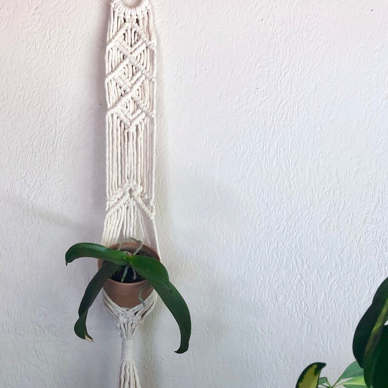 May include: A white macrame plant hanger with a small green plant in a brown pot hanging on a white wall.
