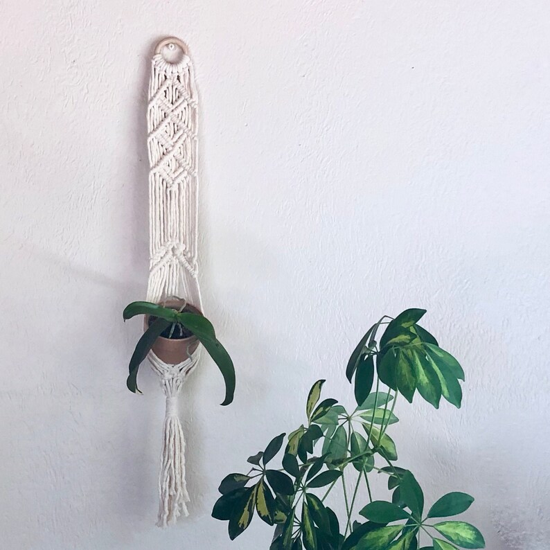 May include: A white macrame plant hanger with a wooden ring at the top. A small potted plant is hanging in the macrame. A green leafy plant is in the background.