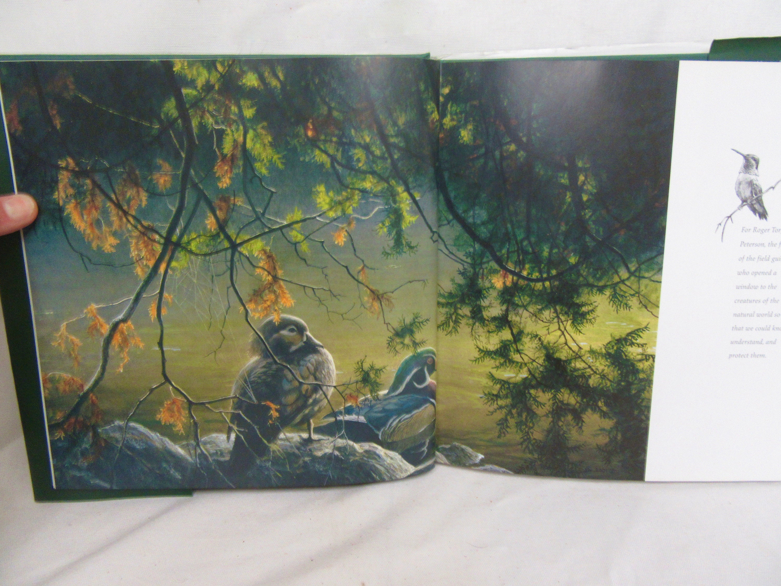 Two Volumes of Robert Bateman Books Birds and an Artist in Etsy