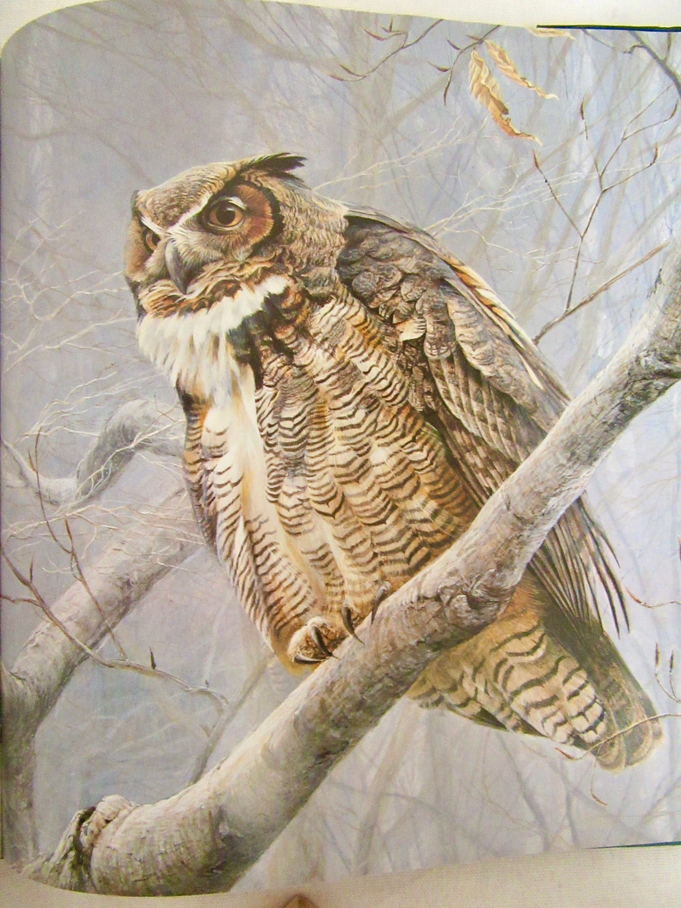 Two Volumes of Robert Bateman Books Birds and an Artist in Etsy