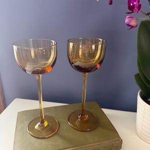 May include: Two amber-colored stemmed glasses with rounded bowls. The glasses sit on a vintage book, with a purple flower arrangement in the background. The glasses have a classic design, suitable for serving cocktails or wine.