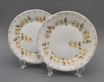 Antique Zeh Scherzer & Co Two Bread Appetizer Dessert Plates Yellow Roses Green Gold White Porcelain Light Wear Use