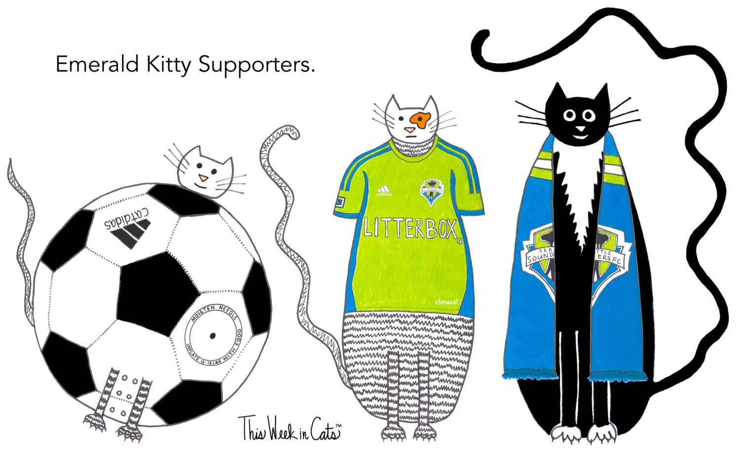 Cat Card Seattle Sounders FC Football Club Soccer Cats Funny Cat Sports