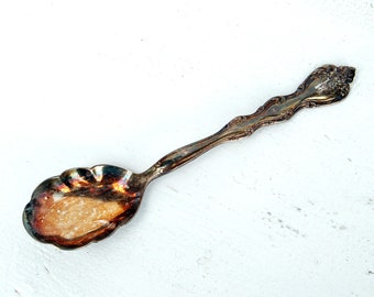 Caviar Spoons with Round Handle Water Buffalo Horn Spoons 7 Inch Set of 6 pieces Sugar Seasoning Salt Spoons