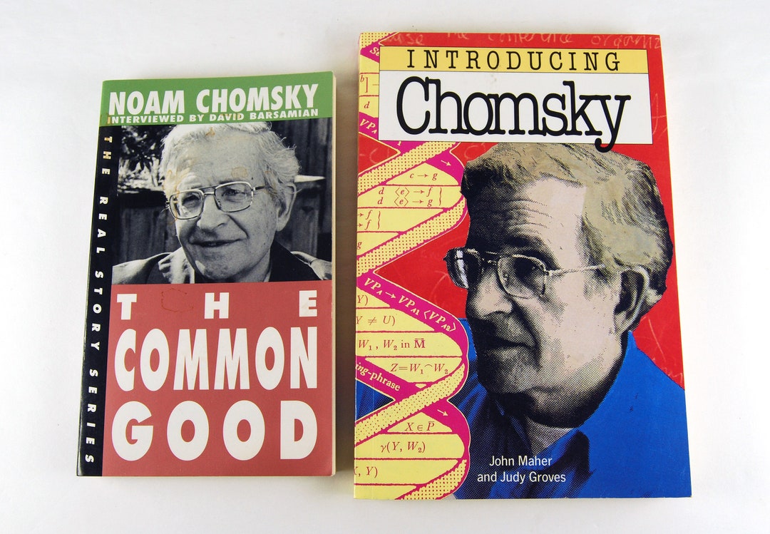 Noam Chomsky Books, Introducing & the Common Good, Vintage Paperbacks
