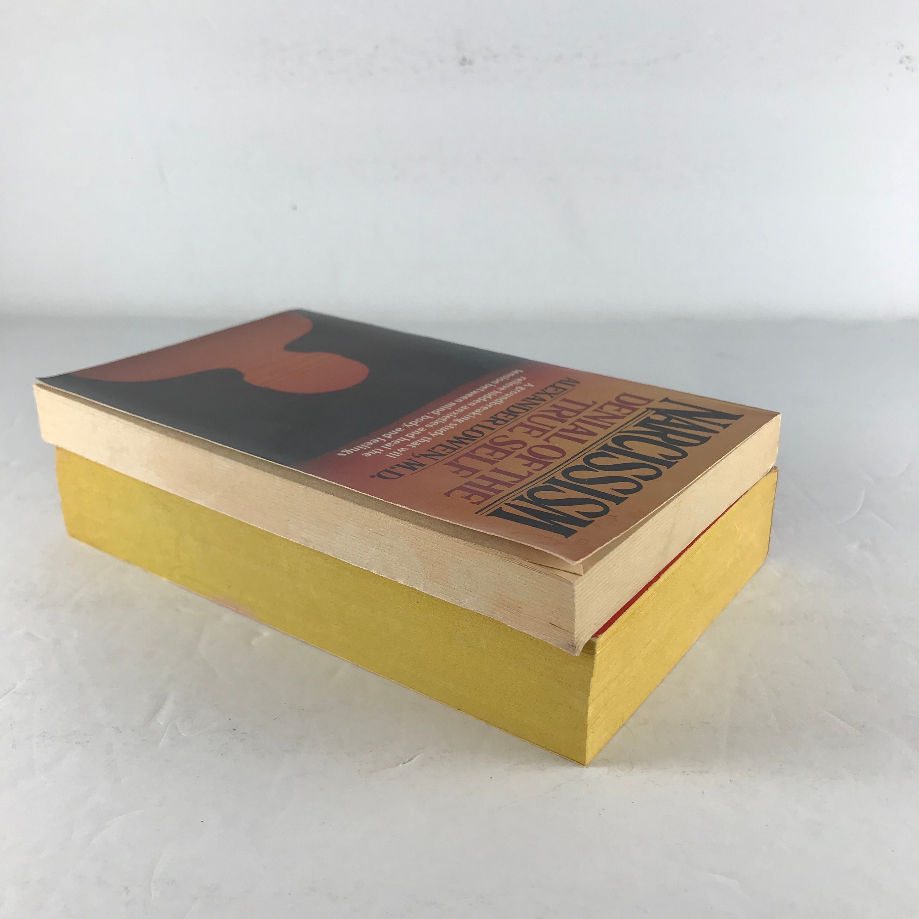 Culture of Narcissism, Nonfiction Books - Etsy