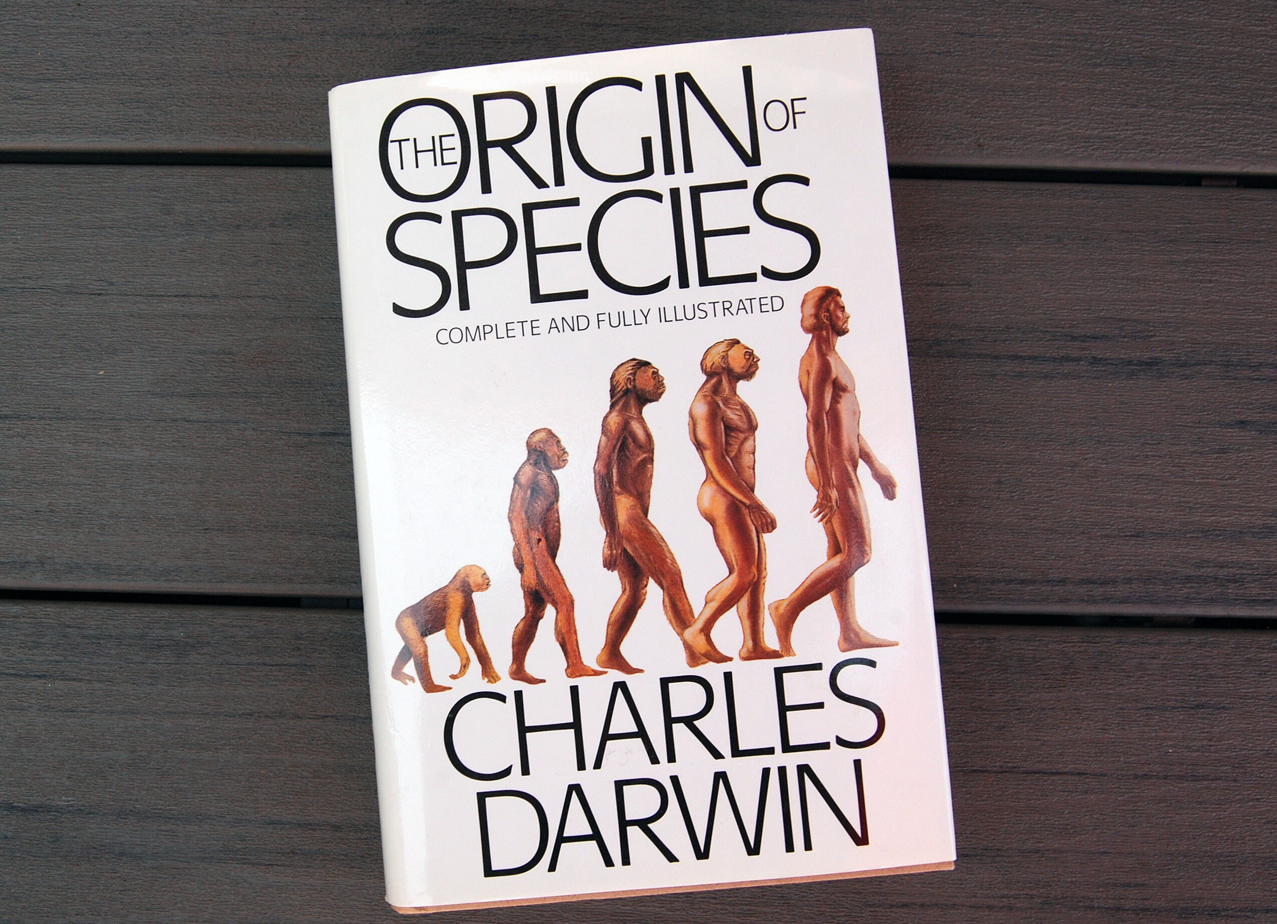 Charles Darwin Origin Of Species