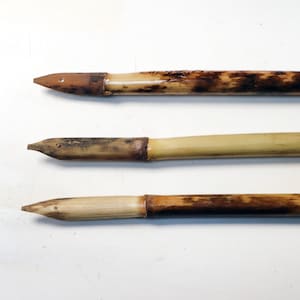 Reed Pens Phragmites Australis for Drawing 3 hand crafted pens 6-8 length 10-13mm width image 1