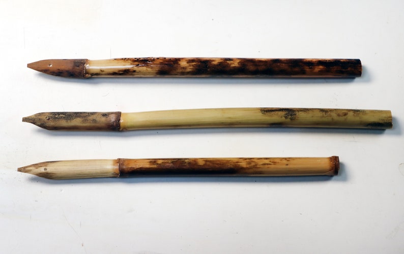 Reed Pens Phragmites Australis for Drawing 3 hand crafted pens 6-8 length 10-13mm width image 1