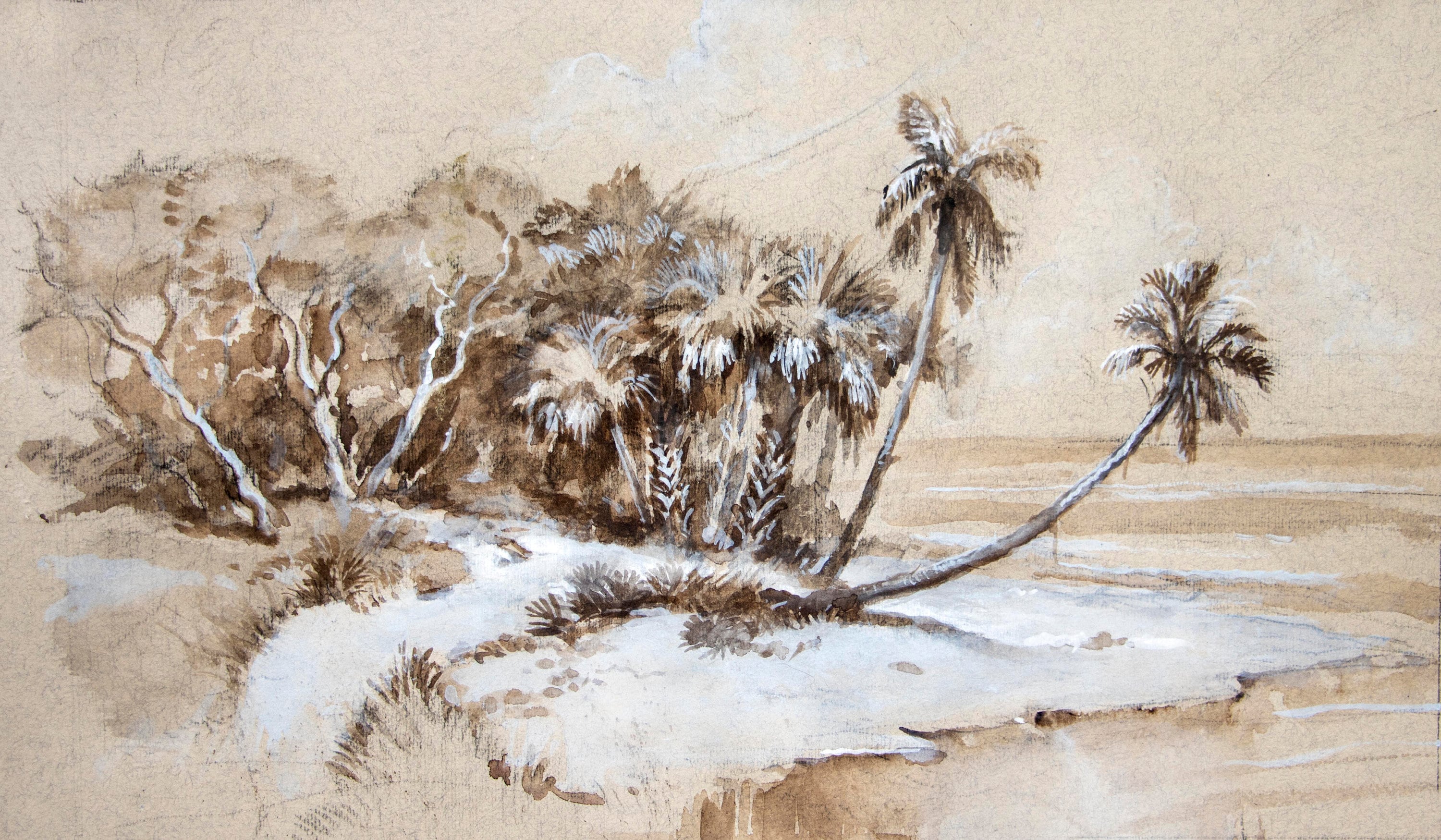 Florida Watercolor Palm Trees Tropical Beach 8 X - Etsy India