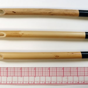 Reed Pens Arundo Donax Giant Reed for Drawing 3 hand crafted pens  6- 8&quot; length 12-14mm width