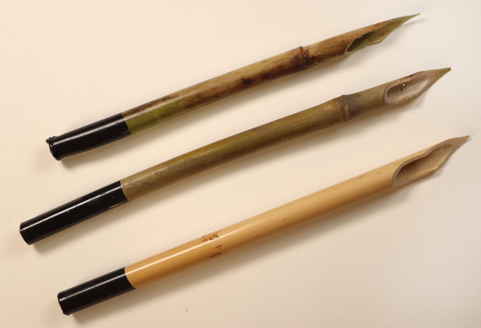 Reed Pens Master3 Phragmites Australis, Arundo Donax, and Bamboo