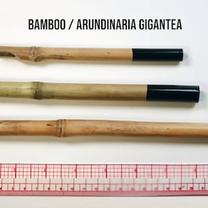 Reed Pens Bamboo Arundinaria Gigantea for Drawing 3 hand crafted pens  6- 9&quot; length 10-14mm width