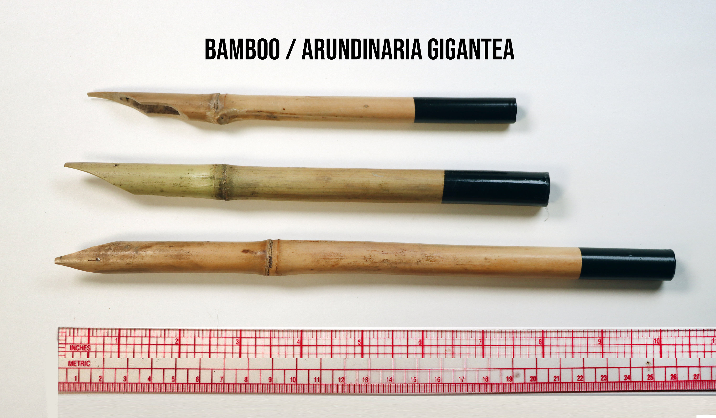 Reed Pens Bamboo Arundinaria Gigantea for Drawing 3 Hand - Etsy Norway
