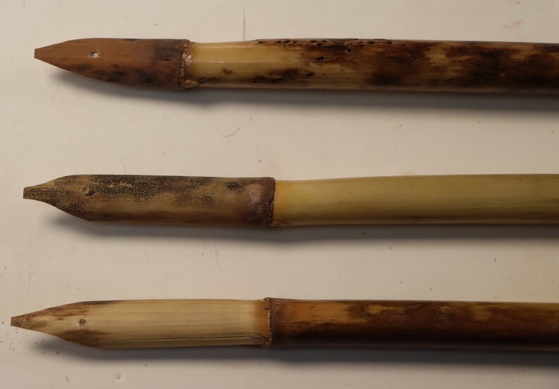 Reed Pens Phragmites Australis for Drawing 3 hand crafted pens 6-8 length 10-13mm width image 2