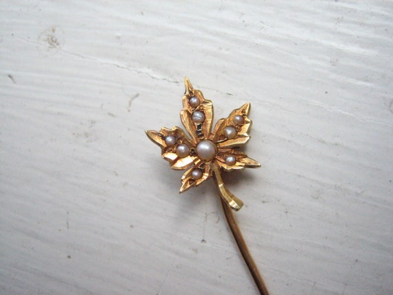 Antique 14k gold seed pearl stick pin, maple leaf… - image 8