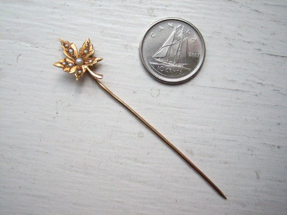 Antique 14k gold seed pearl stick pin, maple leaf… - image 7