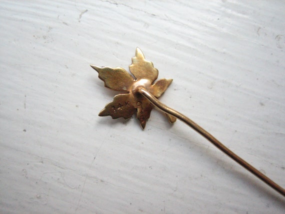 Antique 14k gold seed pearl stick pin, maple leaf… - image 5