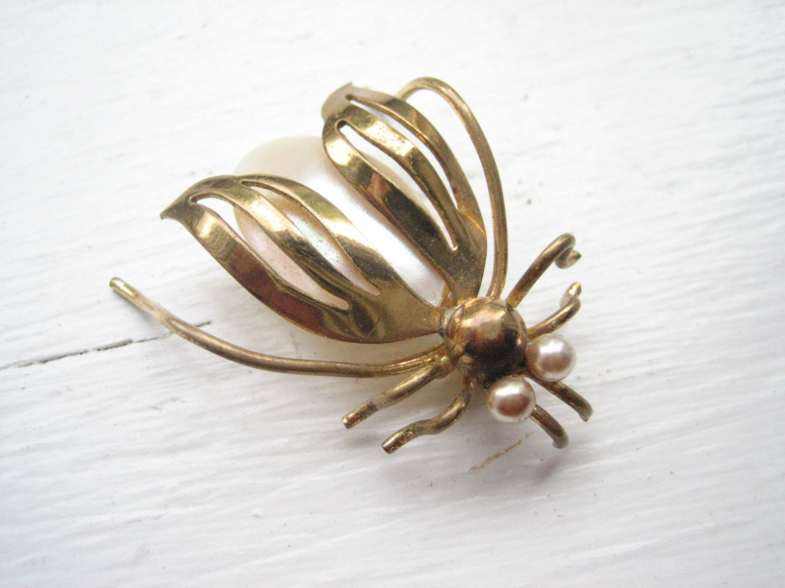Antique brass insect brooch brass beetle pin mother of pearl Etsy