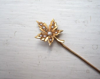 Antique 14k gold seed pearl stick pin, maple leaf pin, Victorian stick pin, tiny delicate leaf, small 14 karat gold stick pin