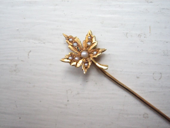 Antique 14k gold seed pearl stick pin, maple leaf… - image 1