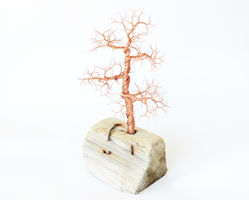 BEADNOVA Bonsai Draht 1 Mm – 30 M Schwarzer Aluminiumdraht Zum Formen Von Bonsai-Bäumen (für Innen & Außen)