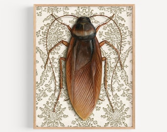 Cockroach - Art Print | art nouveau wallpaper, home decor, roach painting,
