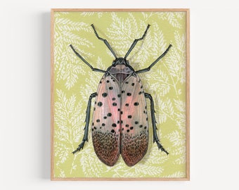 Spotted Lanternfly - Art Print | vintage wallpaper home decor, oddity gift, bug wall art, insect art