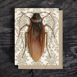 Note Karte Schabe | Blanko Grußkarte für alle Anlässe | A2 Briefpapier | Kraft Umschlag | Makaber Kunst | Ölfarbe | Geschenk | 100% Recycle