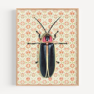 May include: A black and yellow firefly with a pink and red thorax is displayed on a white background with a red and green floral pattern.