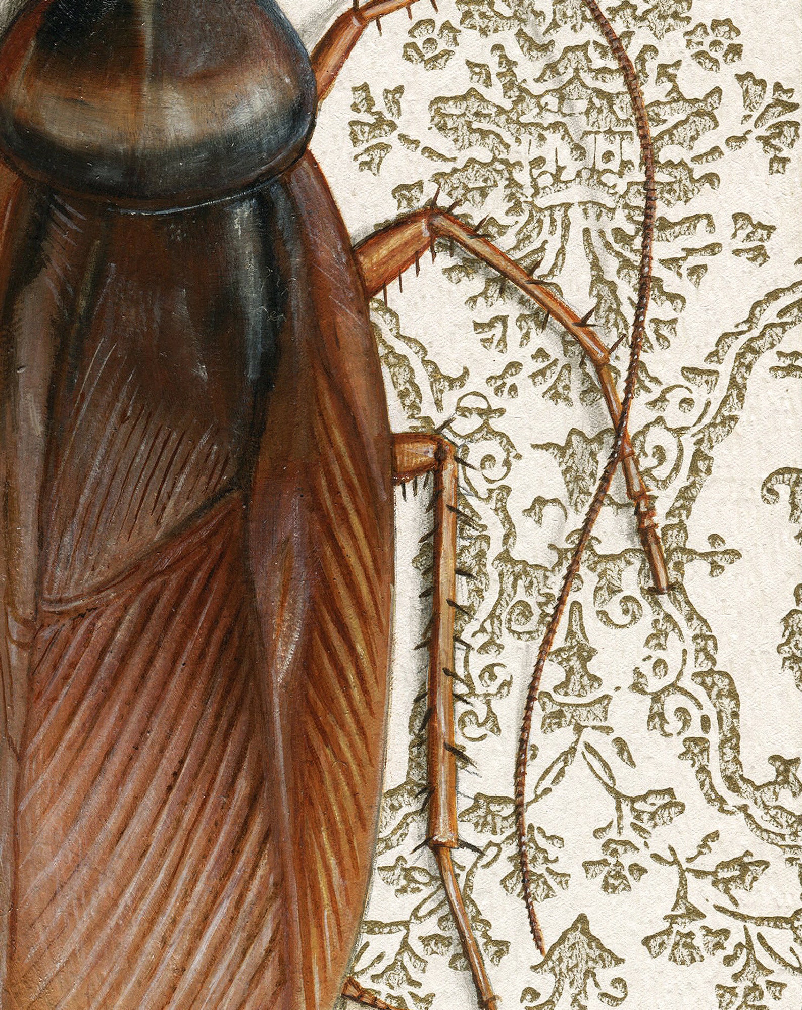 Cockroach Print Cockroach - Art Print | Art Nouveau Wallpaper, Home Decor, Roach ...