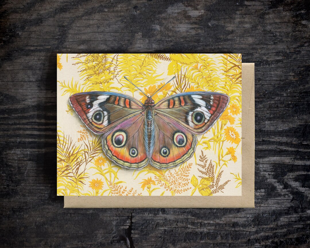 Common Buckeye Butterfly Note Card | Blank All Occasion Greeting Card ...
