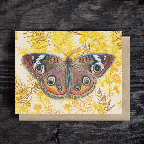 Common Buckeye Butterfly Note Card | blank all occasion greeting card, A2 stationary, kraft envelope, 100% recycled, compostable packaging